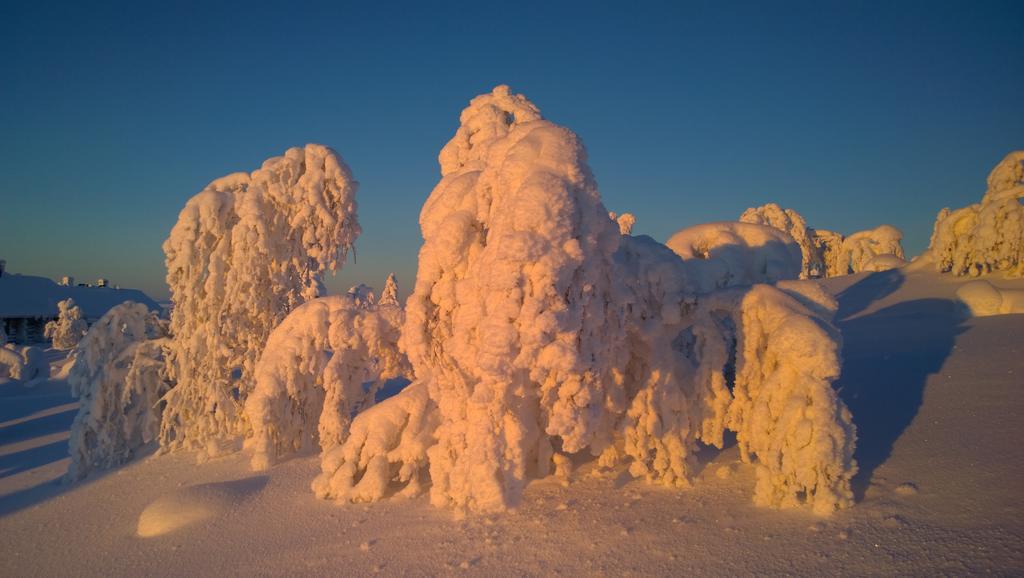 Kelotaehti Apartments Saariselkä Værelse billede