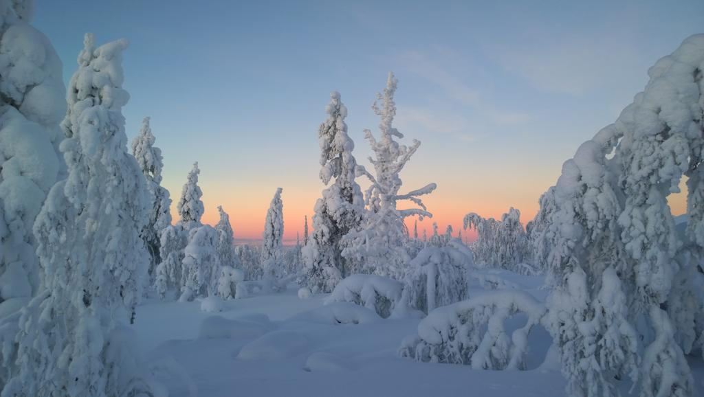 Kelotaehti Apartments Saariselkä Værelse billede