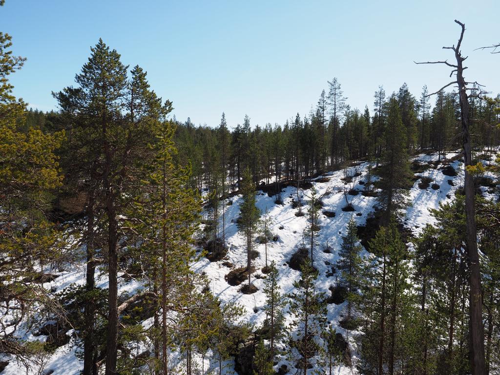 Kelotaehti Apartments Saariselkä Eksteriør billede